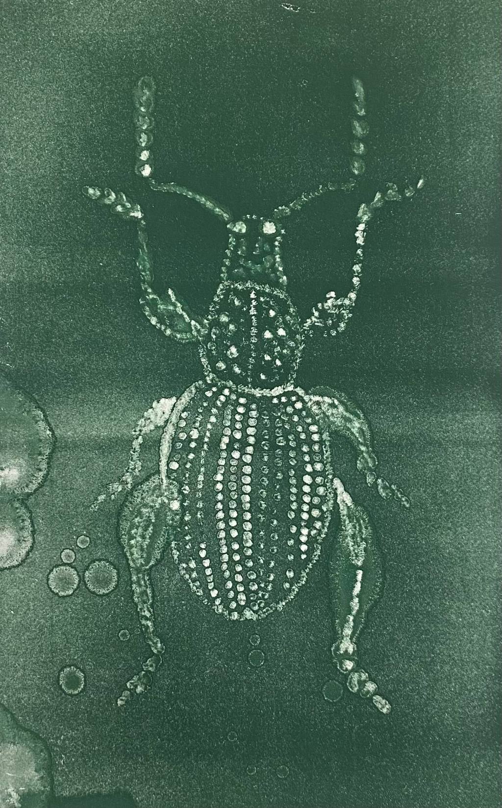 Dictyoptera aurora | Eva&nbsp;Steinitz