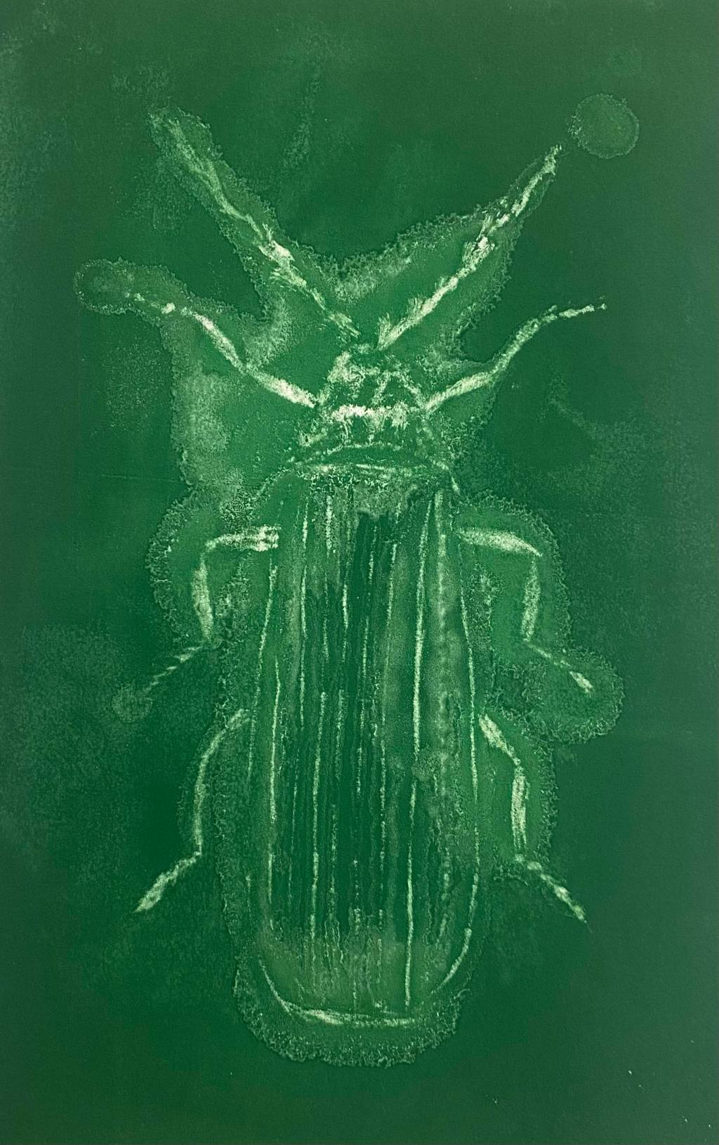 Otiorhynchus ovatus | Eva&nbsp;Steinitz